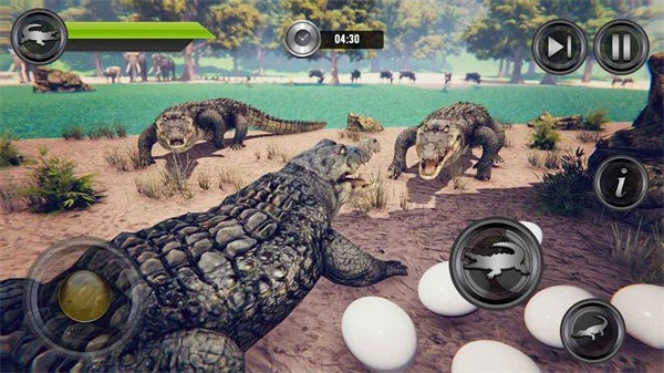 愤怒的鳄鱼模拟器3d(Angry Crocodile Wild Attack 3D) 愤怒的鳄鱼模拟器3d(Angry Crocodile Wild Attack 3D)