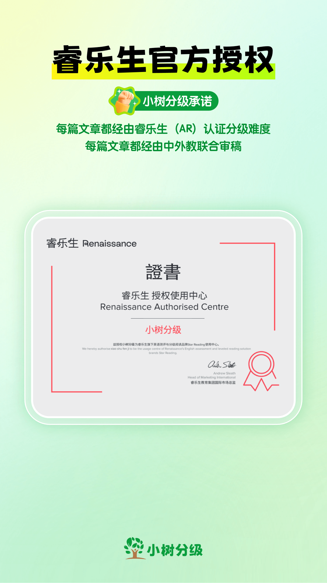 小树分级