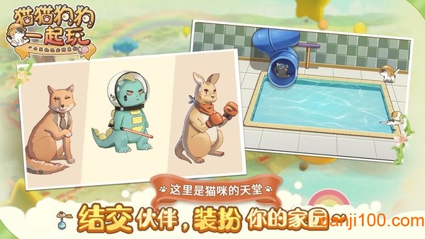 猫猫狗狗一起玩 猫猫狗狗一起玩