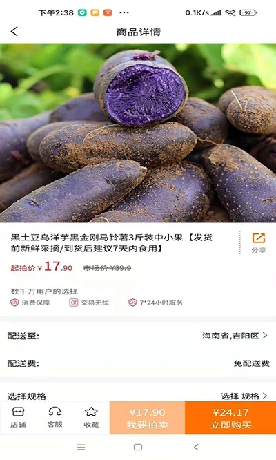 佐拍拍