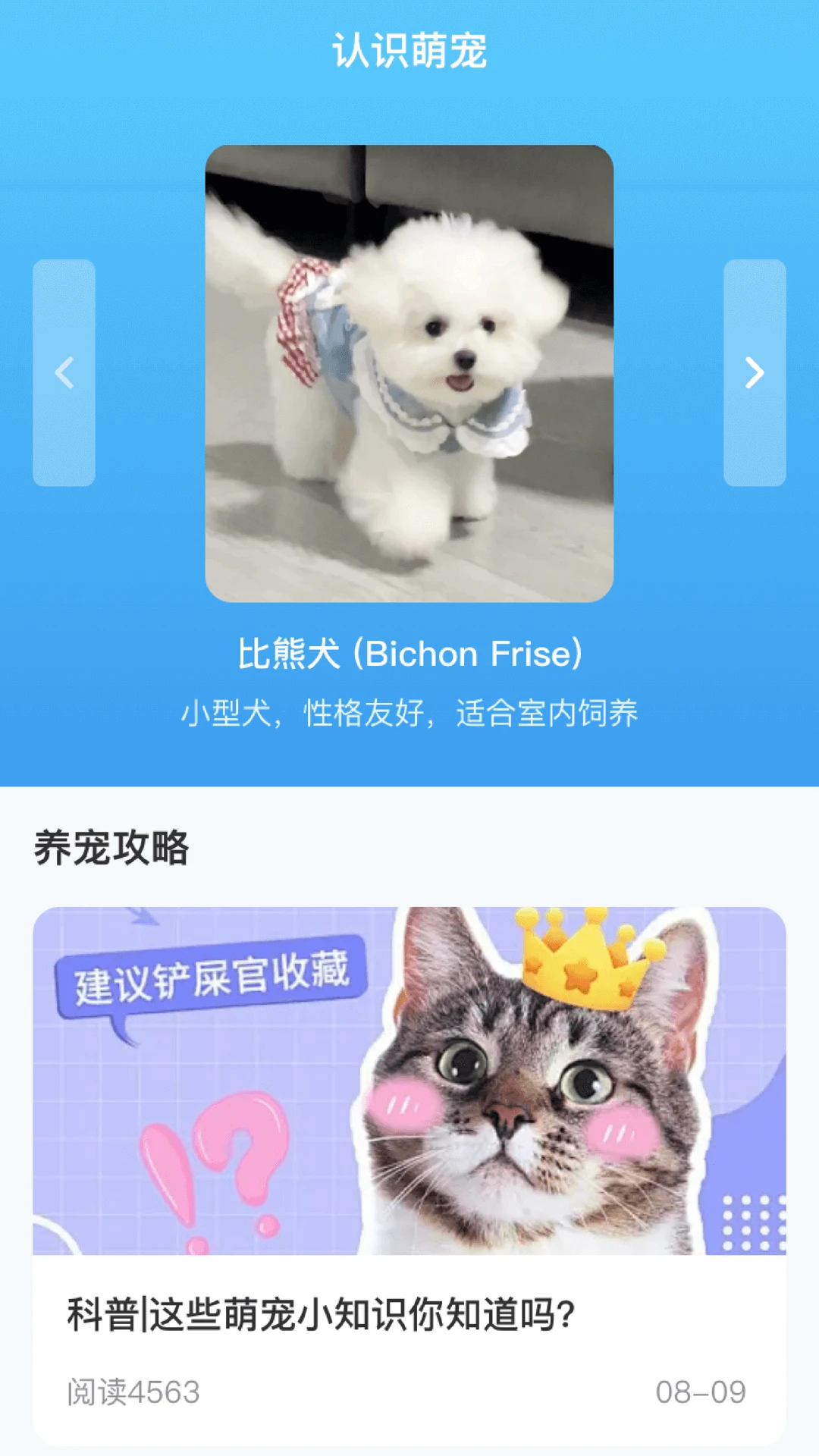 萌宠攻略 萌宠攻略