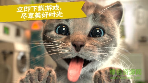 小猫大冒险苹果版 小猫大冒险苹果版