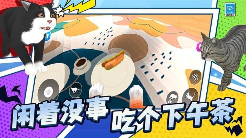 喵星人日常