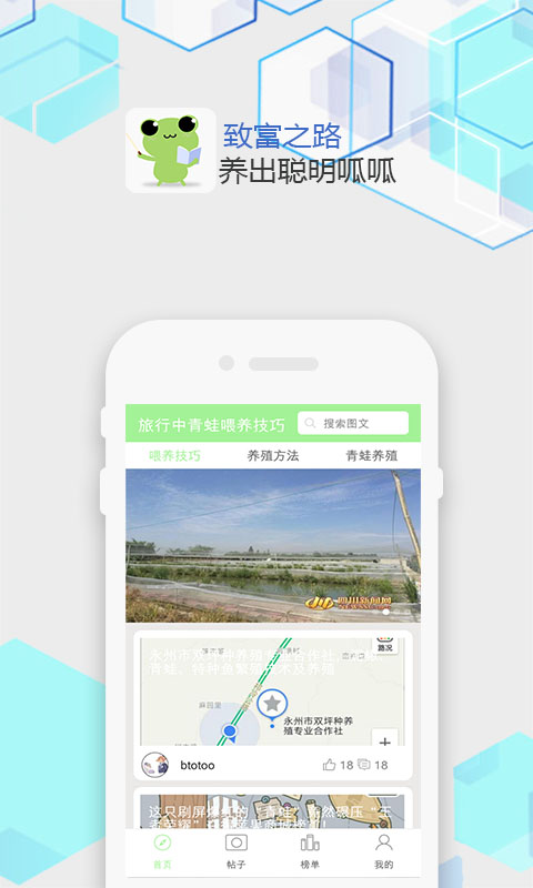 旅行中青蛙喂养技巧