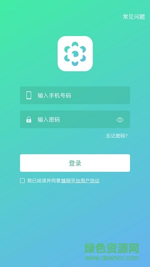 蜂抢