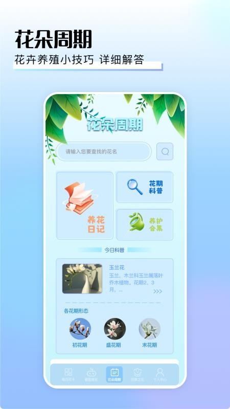 摆花齐放 摆花齐放