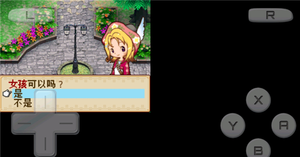 牧场物语风之集市安装器