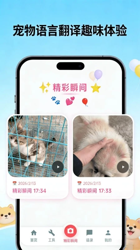 旺言喵语