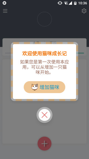 猫咪成长记