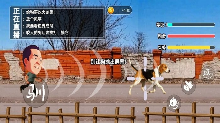 玩狗园区