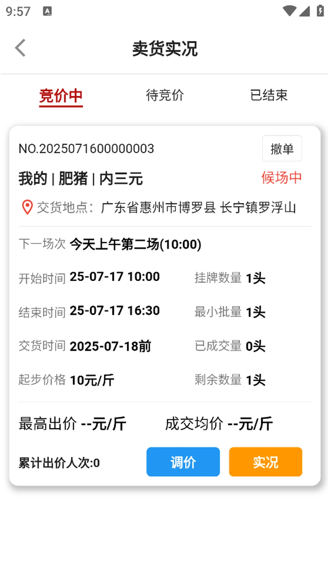 猪悦悦