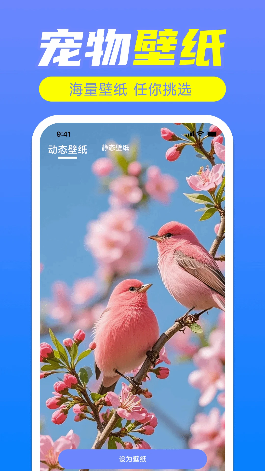 鸟语翻译神器