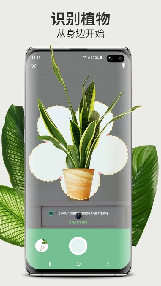 Blossom软件下载