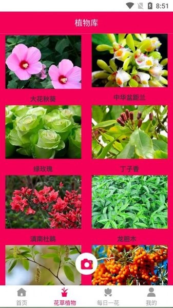 神农百草经 神农百草经
