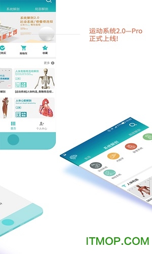 维萨里3d解剖免费版