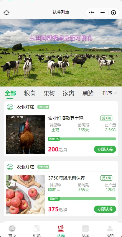 农业灯塔