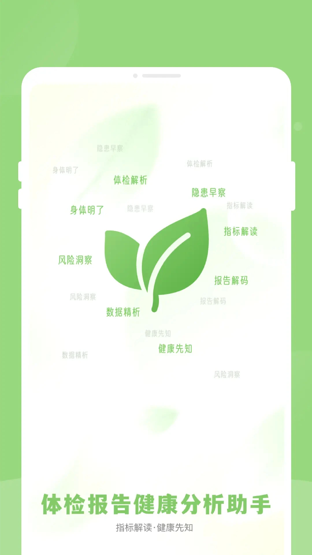 体检报告健康分析助手