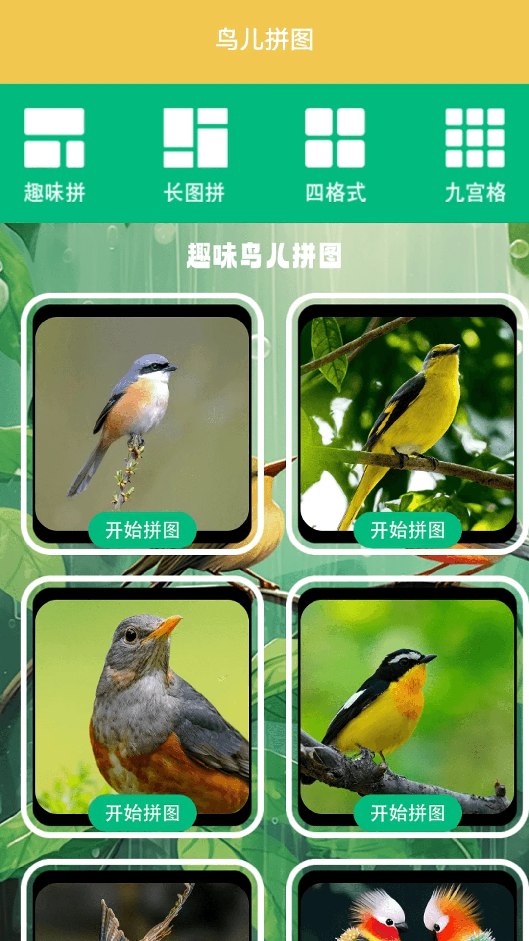 孤独的茑儿