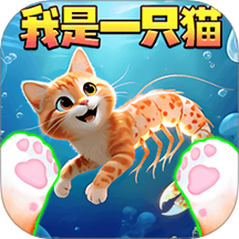 我是猫大作战
