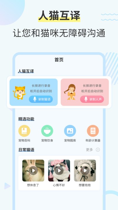 猫咪交流翻译器 猫咪交流翻译器