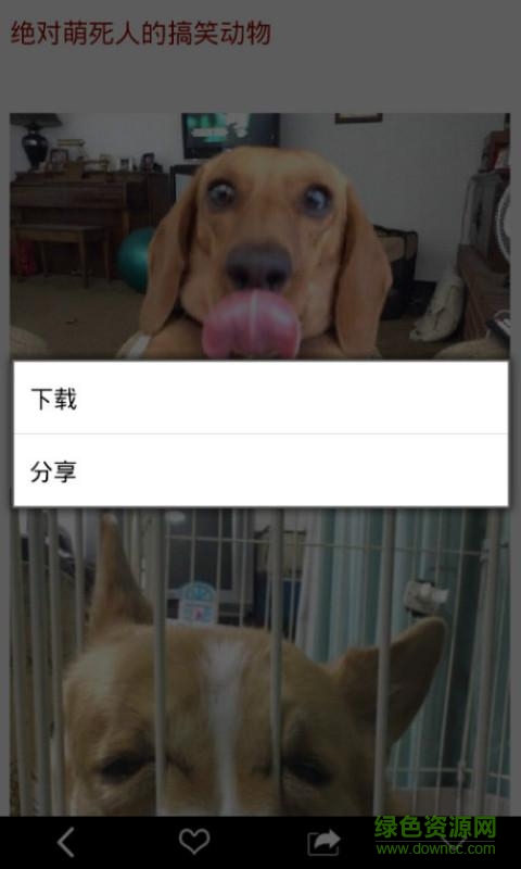 火爆趣图