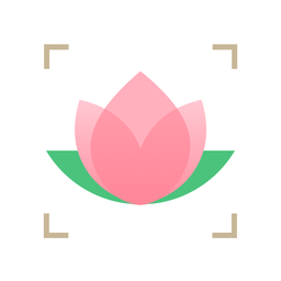 识花