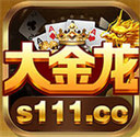 大金棋牌
