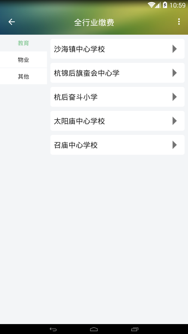 陕坝缴费宝