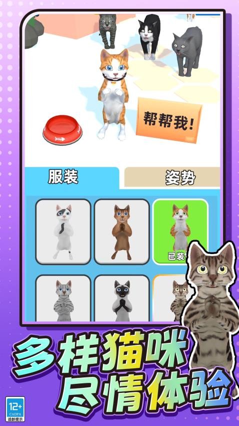 我是小猫猫