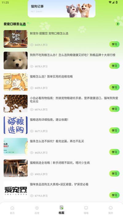 喵精灵 喵精灵