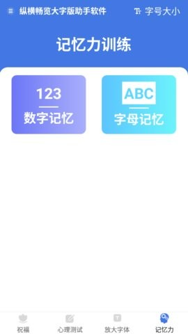 大字版助手