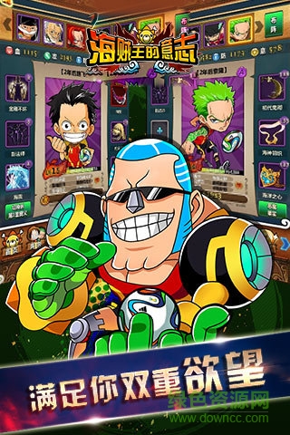 海贼王的意志星耀版 海贼王的意志星耀版