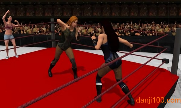 女子团体摔跤官方版(Women Tag Team Wrestling)
