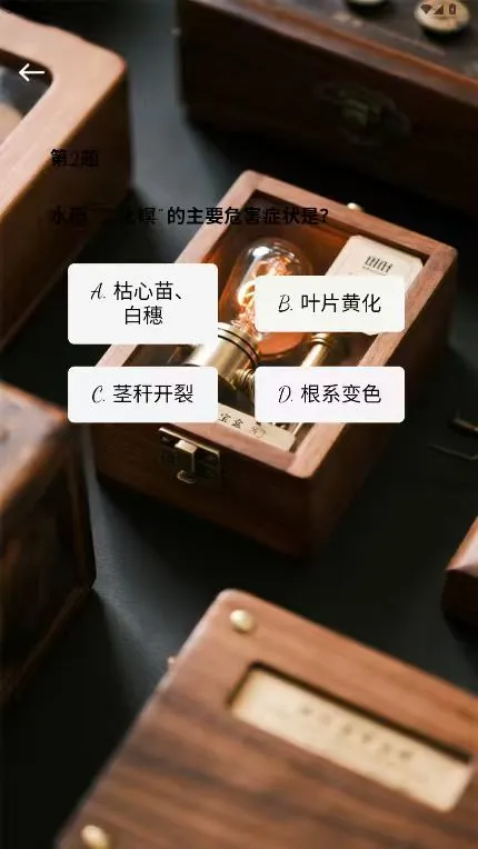 智帆宝盒