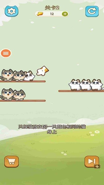 我的可爱猫咪 我的可爱猫咪