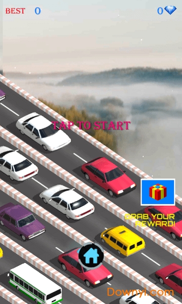 公路上的动物 公路上的动物