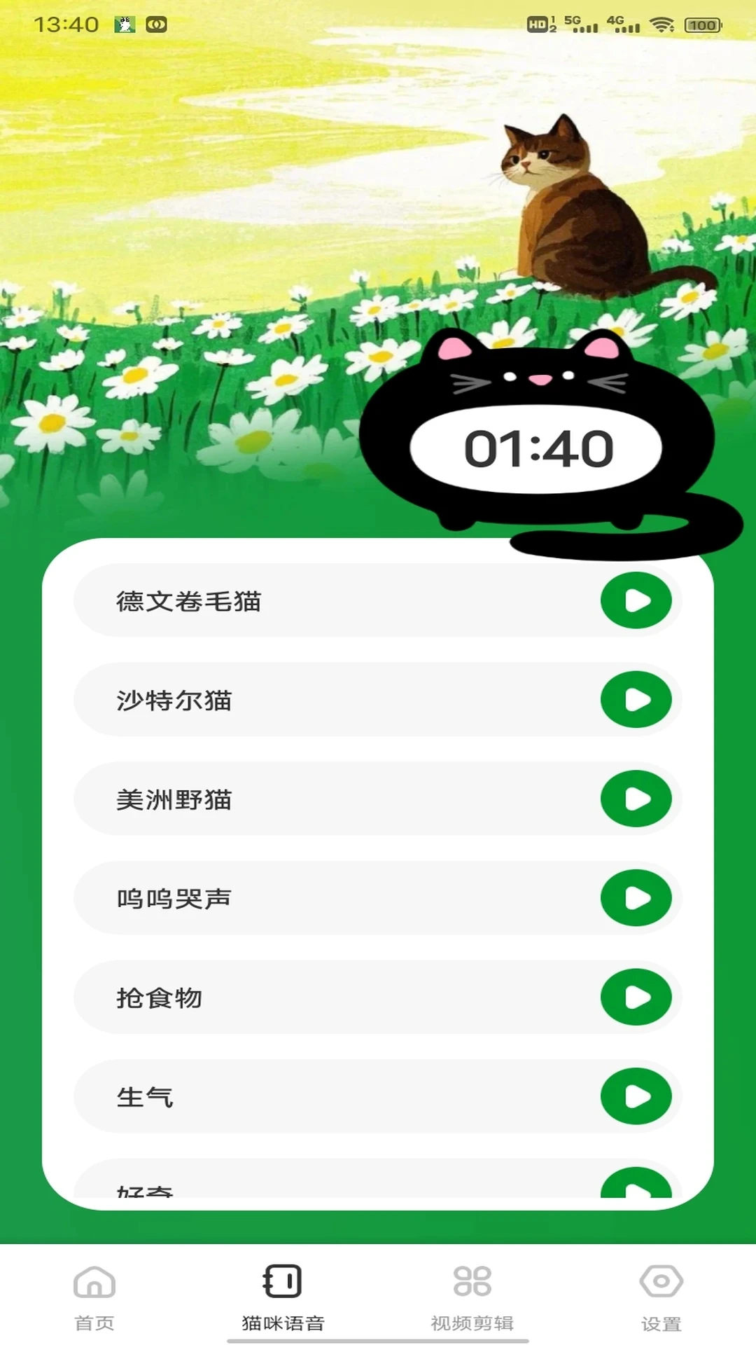 治愈猫咪