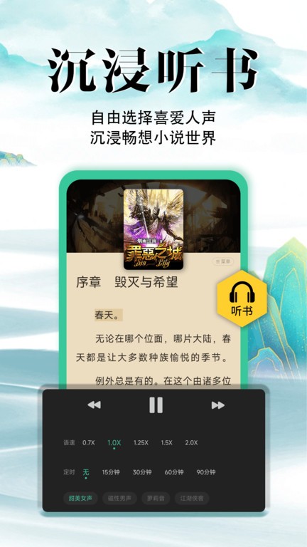辰思小说