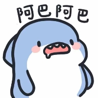AK直装
