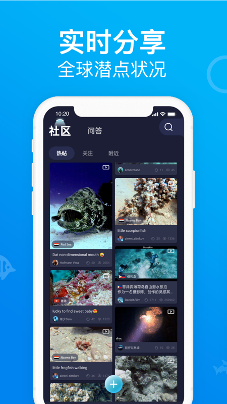 Dive+潜水