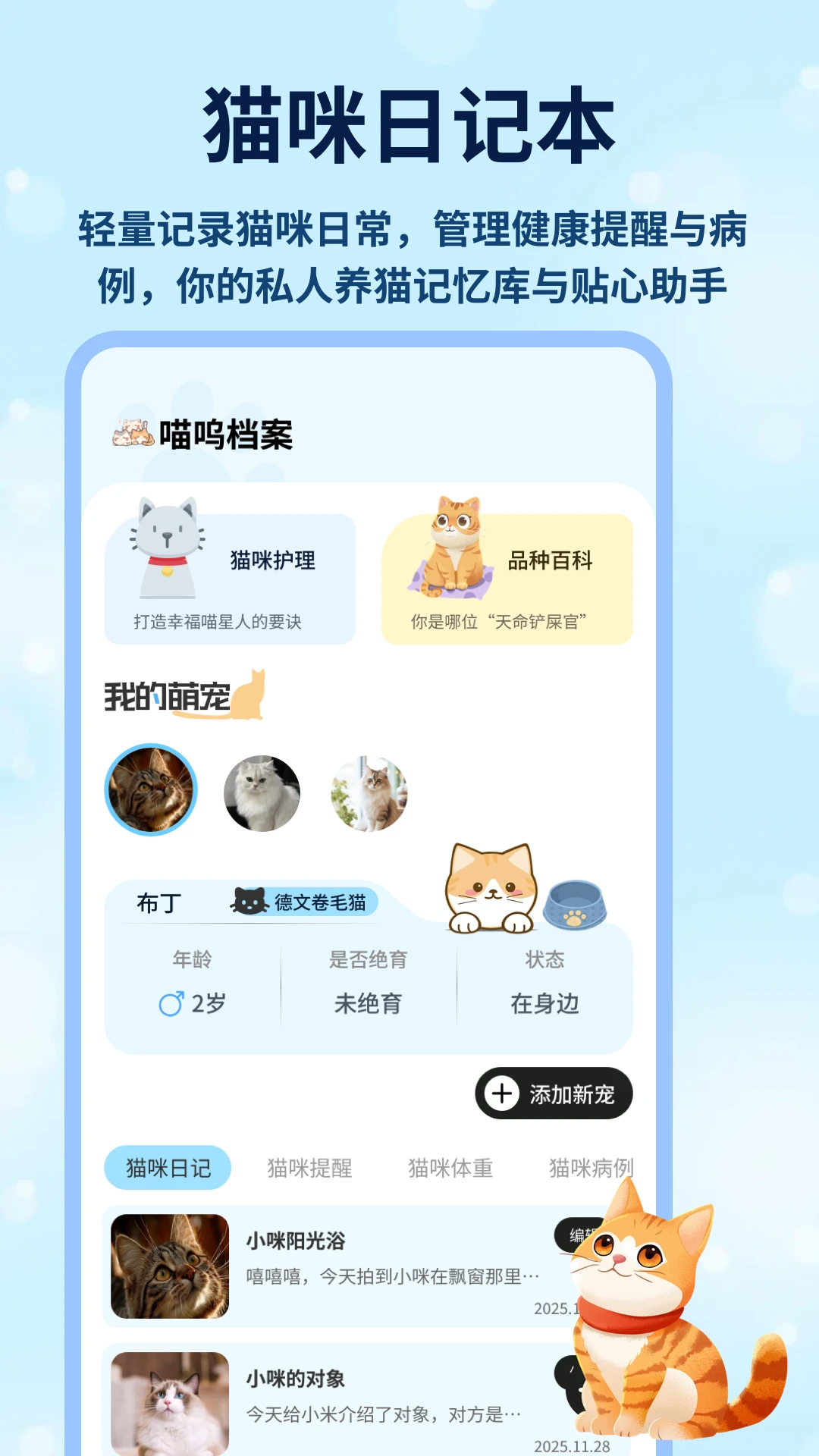 治愈猫咪破解版