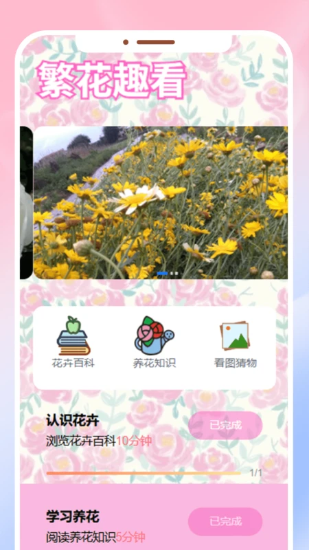 繁花看看