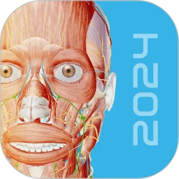 人体解剖 3d