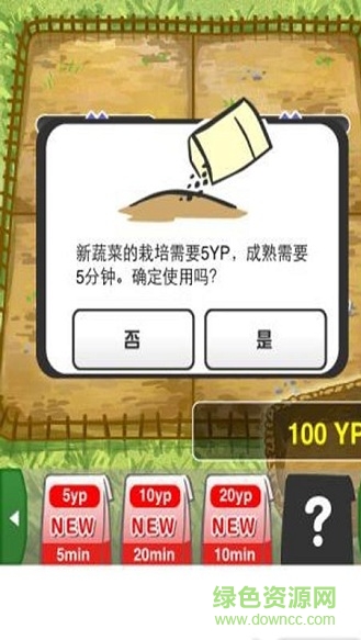 蔬菜农园 蔬菜农园