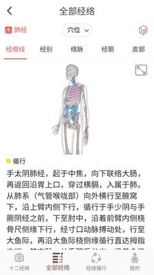 经络穴位3D 经络穴位3D