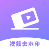 极速去水印