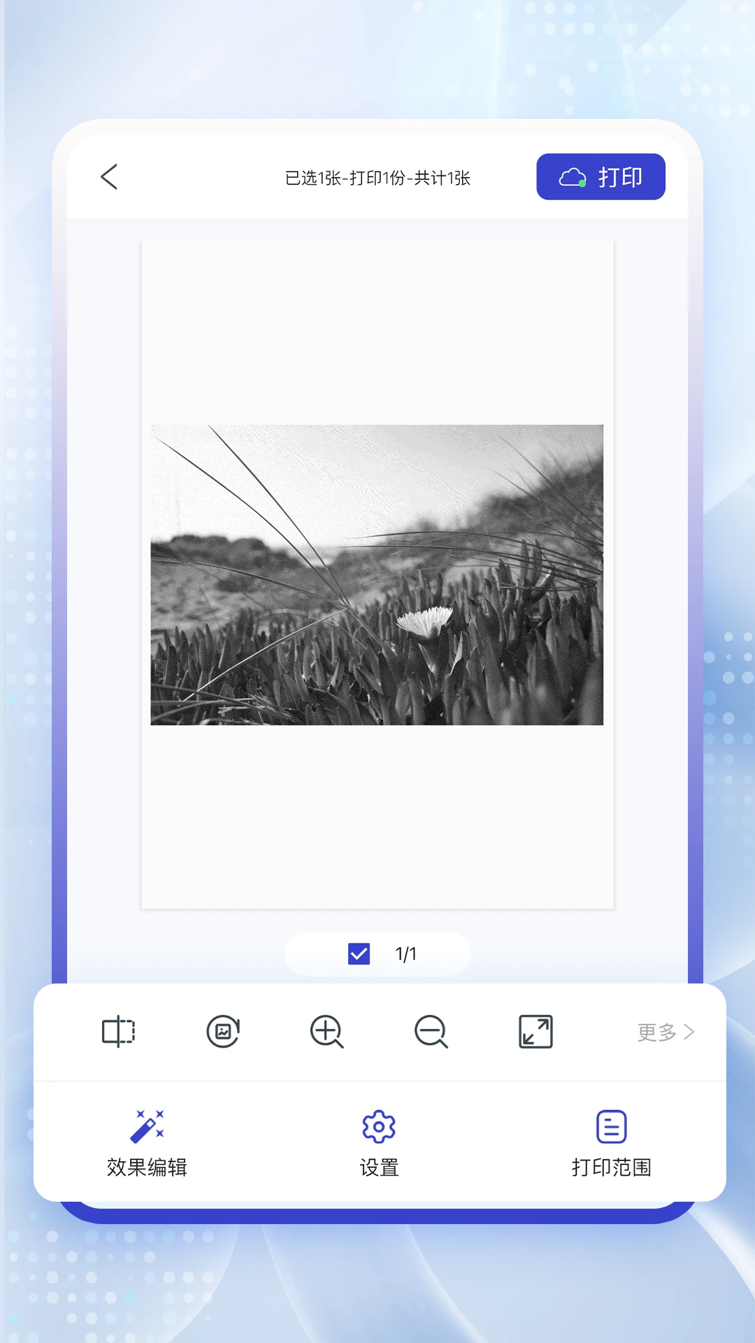云芯智印