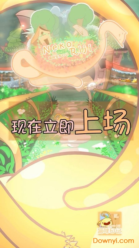 猫咪生存日记