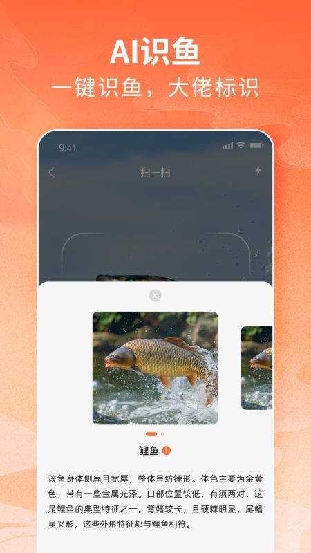 小红鱼
