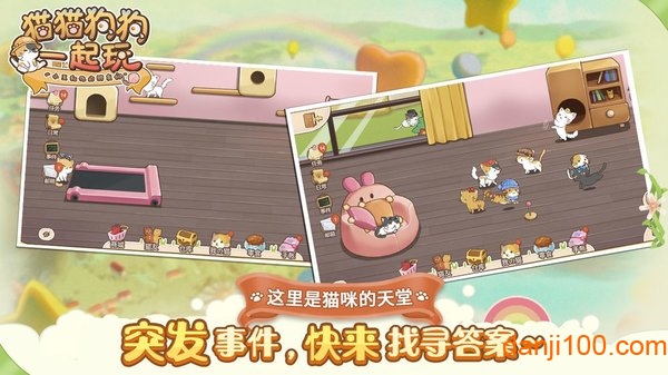 猫猫狗狗一起玩 猫猫狗狗一起玩